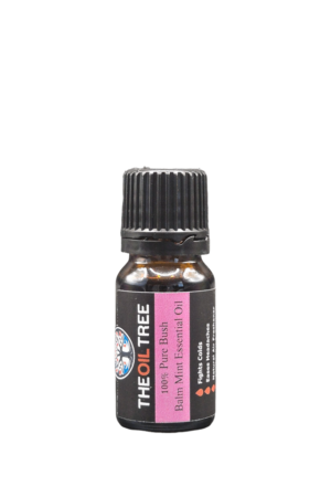 Pure bush balm mint essential oil with fresh mint aroma for aromatherapy, diffusers and natural wellness products