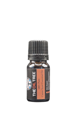 Pure carrot seed essential oil valued for skincare formulations, facial serums and aromatherapy applications