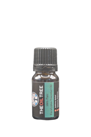 Pure eucalyptus blue gum essential oil with fresh camphoraceous aroma for aromatherapy and diffuser blends