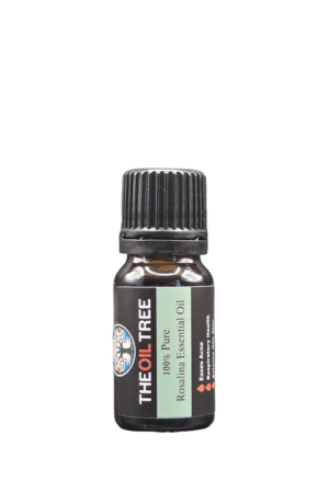Pure rosalina essential oil with gentle floral tea tree aroma for aromatherapy, diffuser blends and natural skincare products
