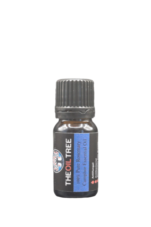 Pure rosemary camphor essential oil with fresh herbaceous aroma for aromatherapy, massage blends and wellness products