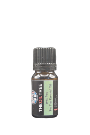 Pure tea tree essential oil with fresh medicinal aroma for aromatherapy, skincare and natural cleaning products